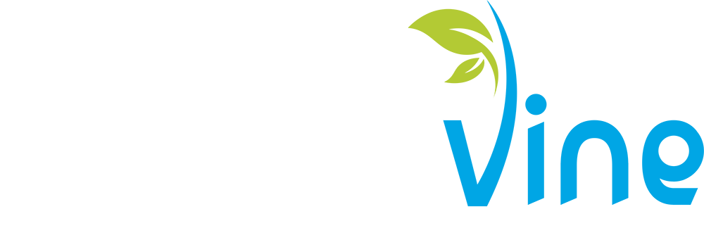 Website Design by The Graphic Vine
